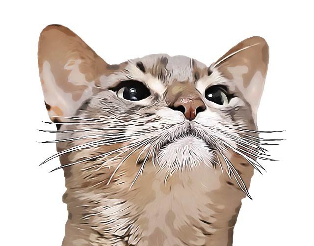 愛犬 愛猫のイラストをオーダーメイドしたい おすすめショップを紹介 事例あり 株式会社ウイング