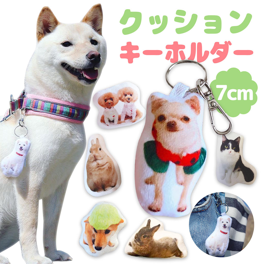 ペットの写真で作るオリジナルキーホルダー特集【2022最新】 株式会社ウイング アクリルスタンドになる 写真 キーホルダー 犬 です ペットのオリジナルグッズを作ってみませんか? 飾れる写真 キーホルダー ペットグッズ 犬 愛犬 飾れるキーホルダー 特注品 1個増量 10 25 0時~11 23:59まで 写真 キーホルダー 犬 うちの子 両面キーホルダー 立てて飾れるキーホルダー アクリルスタンド 写真 犬 ペット・ペットグッズ 犬用品 オーナーズグッズ キーホルダー 愛犬 記念品 誕生日ギフト イチオシ 2P