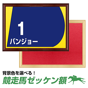 競走馬ゼッケン額